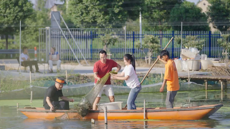 Révolution des crabes albinos au lac Taihu Révolution des crabes albinos au lac Taihu video poster