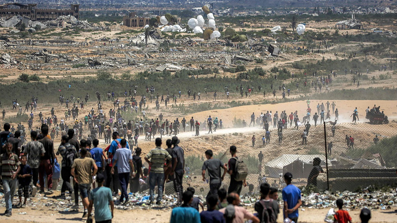 Gaza au bord du gouffre : la perte de terres agricoles alimente une famine imminente Gaza au bord du gouffre : la perte de terres agricoles alimente une famine imminente
