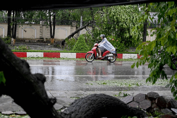 Le typhon Kajiki frappe la côte vietnamienne : des pluies torrentielles forcent des évacuations massives Le typhon Kajiki frappe la côte vietnamienne : des pluies torrentielles forcent des évacuations massives video poster