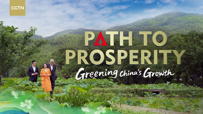 Verdissement de la Croissance de la Chine : Un Chemin vers la Prospérité Verdissement de la Croissance de la Chine : Un Chemin vers la Prospérité video poster