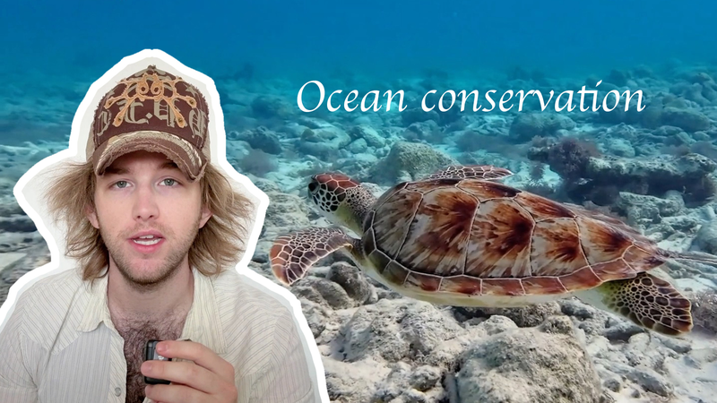 ONU@80 : Robbie Swain appelle à une action mondiale pour l’océan ONU@80 : Robbie Swain appelle à une action mondiale pour l'océan video poster