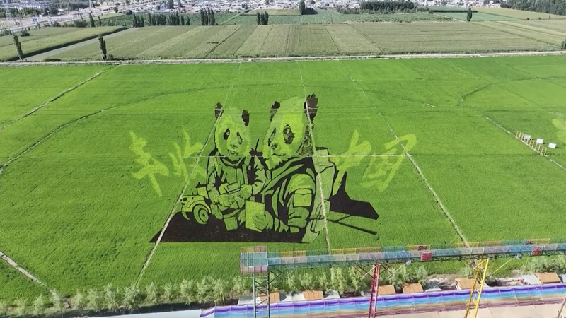Incroyable Art de Rizière à Xinjiang Éblouit les Touristes Incroyable Art de Rizière à Xinjiang Éblouit les Touristes video poster