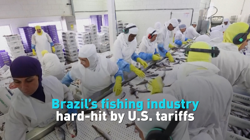 L’industrie de la pêche brésilienne vacille sous un tarif de 50 % imposé par les États-Unis L'industrie de la pêche brésilienne vacille sous un tarif de 50 % imposé par les États-Unis video poster
