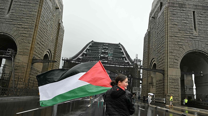 Des dizaines de milliers manifestent pour la Palestine sur le pont du port de Sydney Des_dizaines_de_milliers_manifestent_pour_la_Palestine_sur_le_pont_du_port_de_Sydney