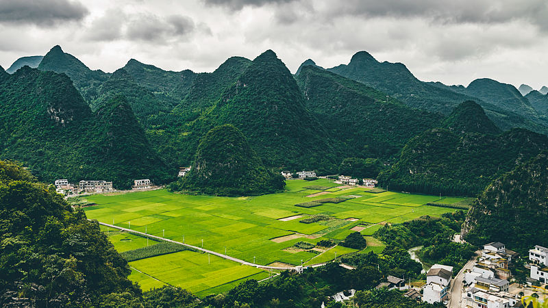 Wanfenglin Découvert : Plongez dans la Forêt de Karst du Sud-Ouest de la Chine Continentale Wanfenglin Découvert : Plongez dans la Forêt de Karst du Sud-Ouest de la Chine Continentale video poster