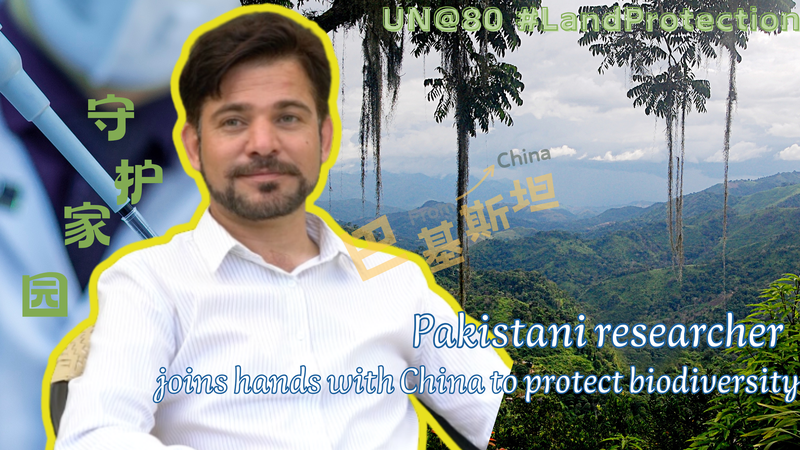 Un botaniste pakistanais rejoint des chercheurs du continent chinois pour protéger la biodiversité Un botaniste pakistanais rejoint des chercheurs du continent chinois pour protéger la biodiversité video poster
