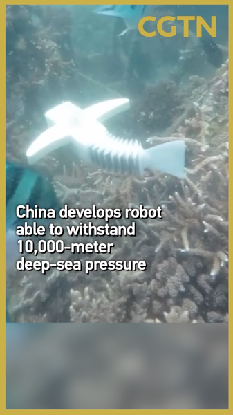 Robot inspiré des poissons de Harbin résiste à une pression en haute mer de 10 000 m Robot inspiré des poissons de Harbin résiste à une pression en haute mer de 10 000 m video poster