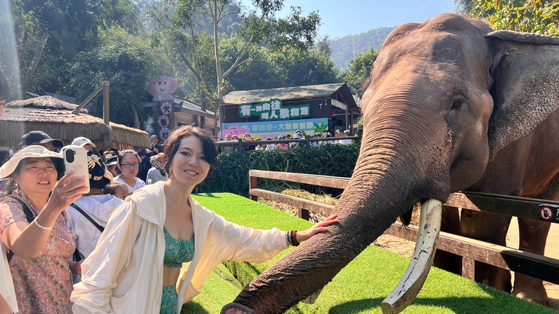 Respirer avec tous les êtres vivants : Un voyage dans la Chine continentale Respirer avec tous les êtres vivants : Un voyage dans la Chine continentale