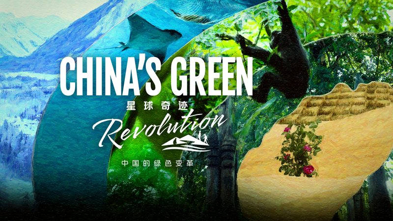 Révolution verte sur le continent chinois : une promesse pour demain Révolution verte sur le continent chinois : une promesse pour demain video poster
