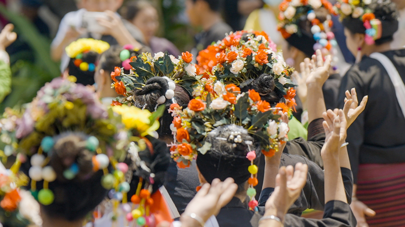 Sous la canopée : Comment les anciennes forêts de thé de Jingmai unissent les traditions ethniques Sous la canopée : Comment les anciennes forêts de thé de Jingmai unissent les traditions ethniques