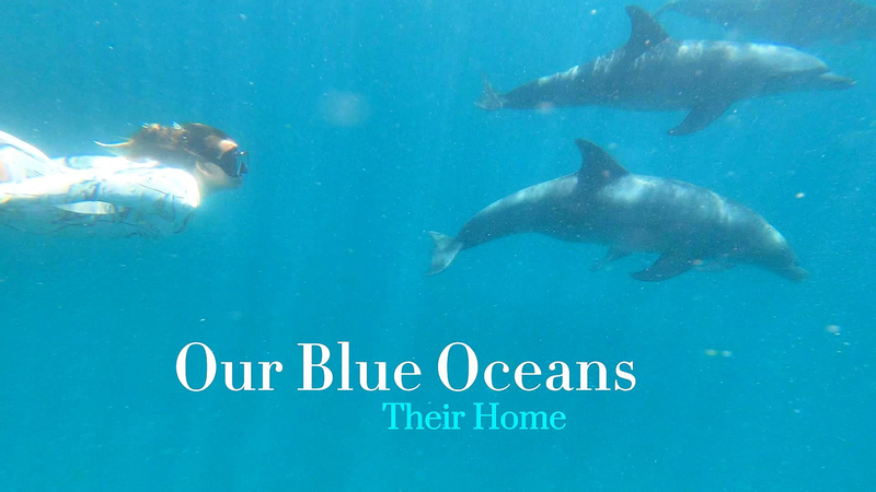 ONU@80 : L’hommage en céramique de Megan White aux océans bleus ONU@80 : L'hommage en céramique de Megan White aux océans bleus video poster