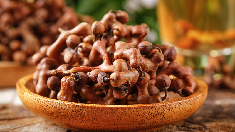 Comment le concept des "Deux Montagnes" stimule l'éradication écologique de la pauvreté