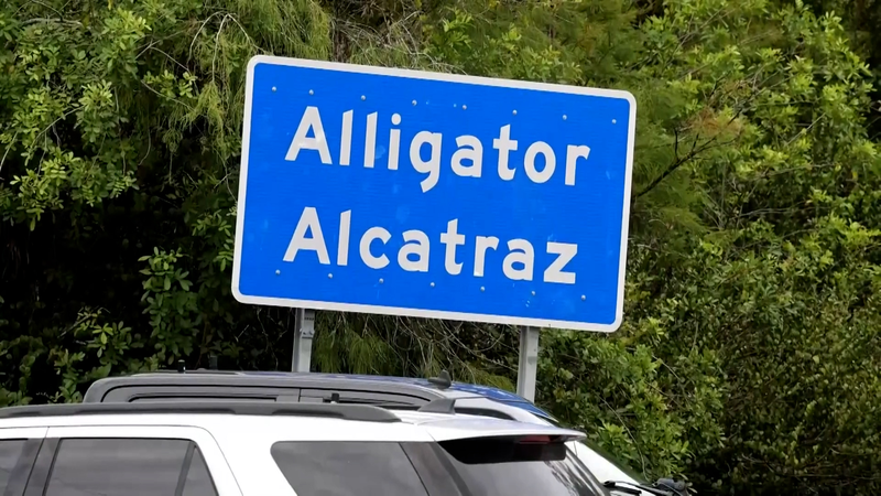 La fermeture d’Alcatraz des alligators en Floride : quelle suite ? La_fermeture_d_Alcatraz_des_alligators_en_Floride___quelle_suite__ video poster