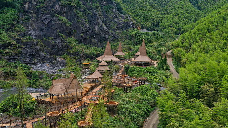 Montagnes d’or : Comment le commerce du carbone en Chine alimente les cultivateurs de bambou Montagnes_d_or___Comment_le_commerce_du_carbone_en_Chine_alimente_les_cultivateurs_de_bambou