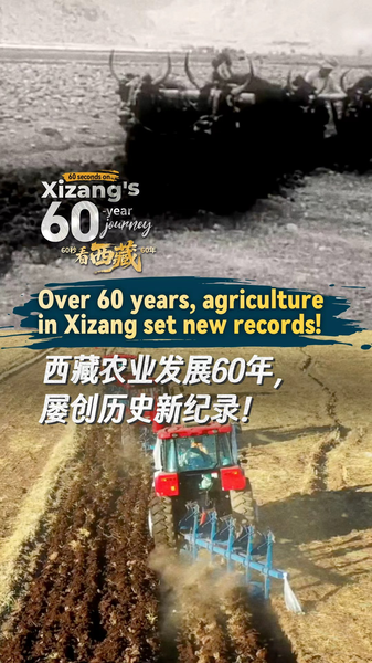 L’essor agricole du Xizang : 60 ans de récoltes record L'essor agricole du Xizang : 60 ans de récoltes record video poster