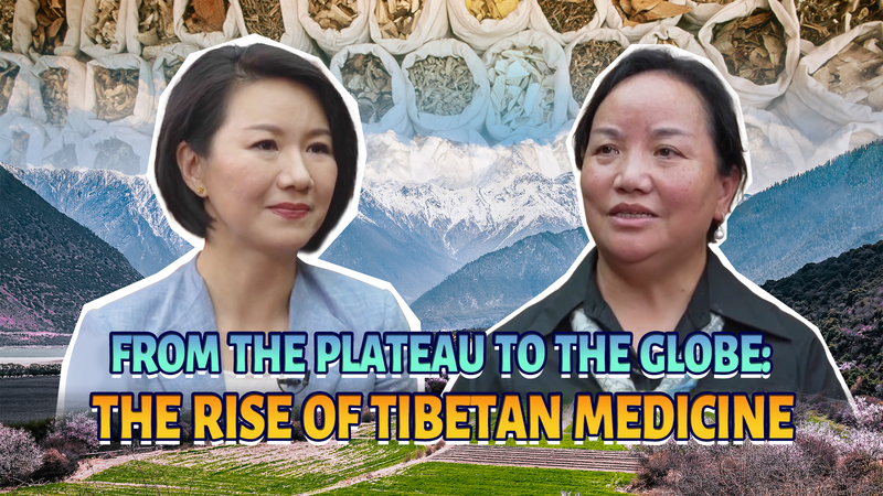 Du Plateau au Globe : L’essor mondial de la médecine tibétaine Du Plateau au Globe : L'essor mondial de la médecine tibétaine video poster
