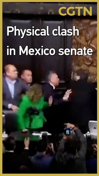 Une bagarre au Sénat éclate autour de l'intervention américaine contre les cartels video poster