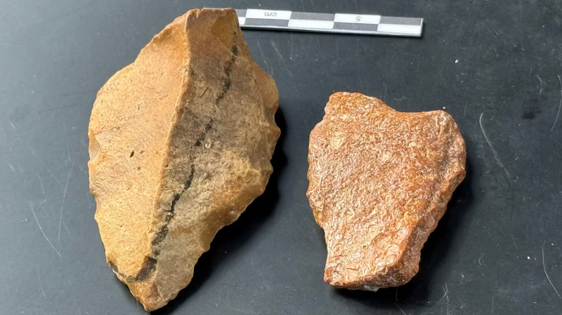 Artefacts humains préhistoriques découverts en Indonésie Artefacts humains préhistoriques découverts en Indonésie