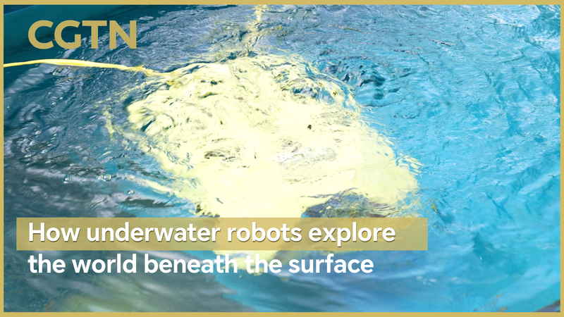 Robots sous-marins : exploration alimentée par l’IA sous la surface Robots sous-marins : exploration alimentée par l'IA sous la surface video poster