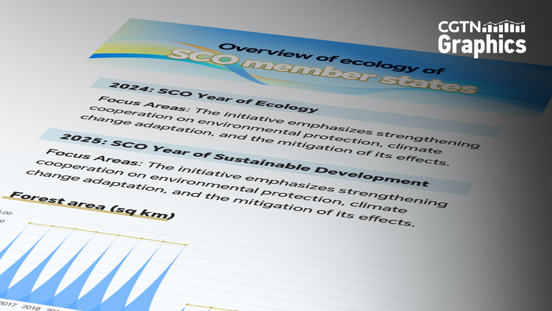 SCO passe au vert : 2024 Année de l’Écologie et 2025 Développement Durable SCO passe au vert : 2024 Année de l'Écologie et 2025 Développement Durable