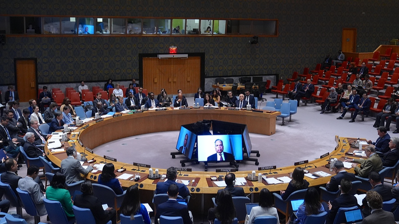 Le Conseil de sécurité de l’ONU dénonce le plan d’Israël pour s’emparer de Gaza Le Conseil de sécurité de l'ONU dénonce le plan d'Israël pour s'emparer de Gaza