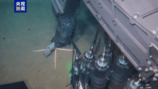 Haiqin : le ROV en haute mer de 6 000 m du continent chinois réussit son essai en mer de Chine méridionale Haiqin : le ROV en haute mer de 6 000 m du continent chinois réussit son essai en mer de Chine méridionale