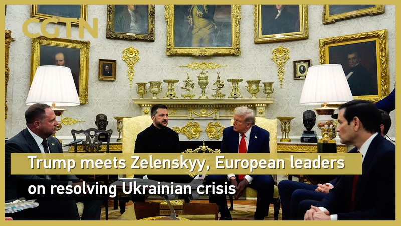 Trump accueille Zelenskyy, les dirigeants de l’UE pour rechercher la paix en Ukraine Trump_accueille_Zelenskyy__les_dirigeants_de_l_UE_pour_rechercher_la_paix_en_Ukraine video poster