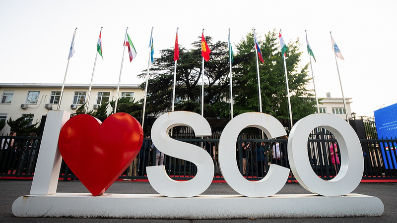 Le commerce de l’Organisation de Coopération de Shanghai avec la Chine continentale s’élève à près de 250 milliards de dollars au premier semestre 2025 Le commerce de l'Organisation de Coopération de Shanghai avec la Chine continentale s'élève à près de 250 milliards de dollars au premier semestre 2025
