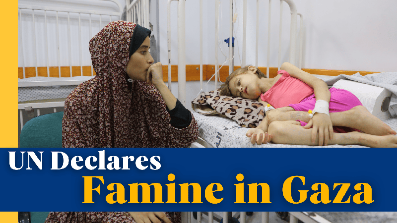 L’ONU déclare une famine historique à Gaza sous blocus L'ONU déclare une famine historique à Gaza sous blocus video poster