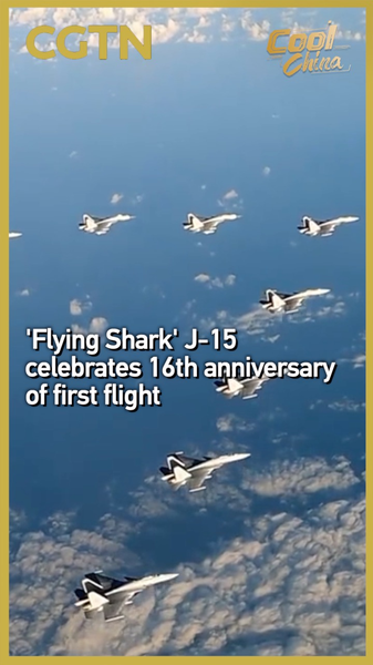 Le requin volant J-15 célèbre son 16e anniversaire Le requin volant J-15 célèbre son 16e anniversaire video poster