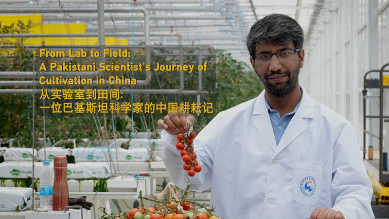 Un Scientifique Pakistanais dans la Chine Continentale Augmente les Rendements des Cultures de 40% Un_Scientifique_Pakistanais_dans_la_Chine_Continentale_Augmente_les_Rendements_des_Cultures_de_40_ video poster