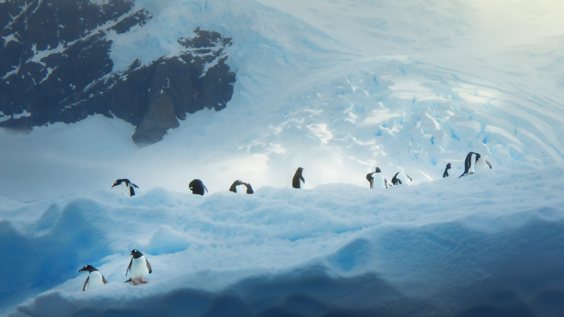 ONU@80 : Première collection d'histoires visuelles des jeunes