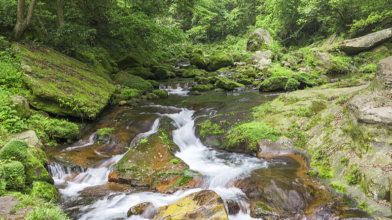 Découvrez Qianjiangyuan : le bar à oxygène naturel du Zhejiang video poster