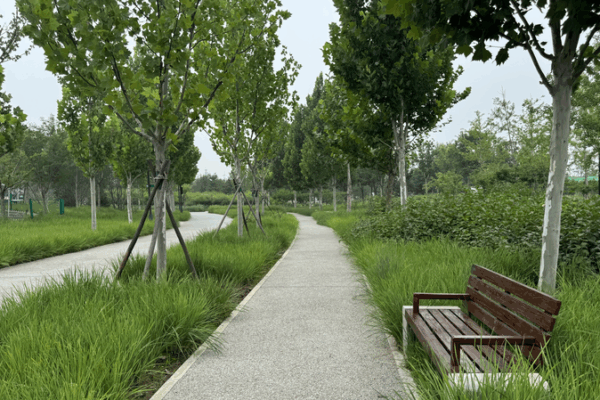 Parc Central Green Forest : Des ruines industrielles transformées en oasis urbaine Parc Central Green Forest : Des ruines industrielles transformées en oasis urbaine video poster