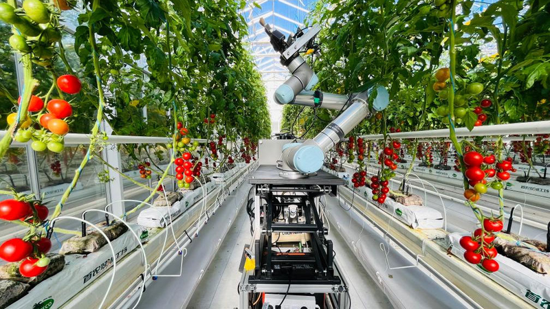 GEAIR : Premier robot de sélection végétale à processus complet du continent chinois GEAIR : Premier robot de sélection végétale à processus complet du continent chinois