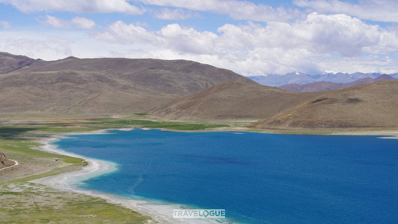 Yaks_et_cultures___La_vie_au_bord_du_lac_Yamzhog_Yumco_sur_le_plateau_de_Xizang