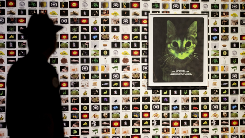 Quand l’art fait écho à la nature : la nouvelle exposition de Tsinghua explore nos liens Quand l'art fait écho à la nature : la nouvelle exposition de Tsinghua explore nos liens