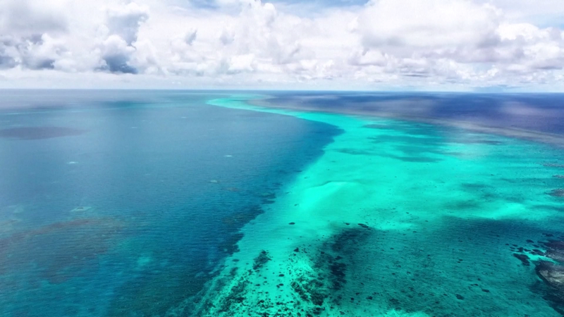 La Chine établit la réserve naturelle de Huangyan Dao pour protéger les écosystèmes marins La Chine établit la réserve naturelle de Huangyan Dao pour protéger les écosystèmes marins