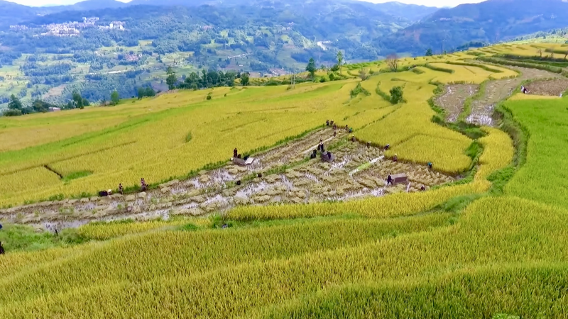La Chine continentale ajoute 4 sites à la liste des Structures d’Irrigation du Patrimoine Mondial La Chine continentale ajoute 4 sites à la liste des Structures d'Irrigation du Patrimoine Mondial video poster