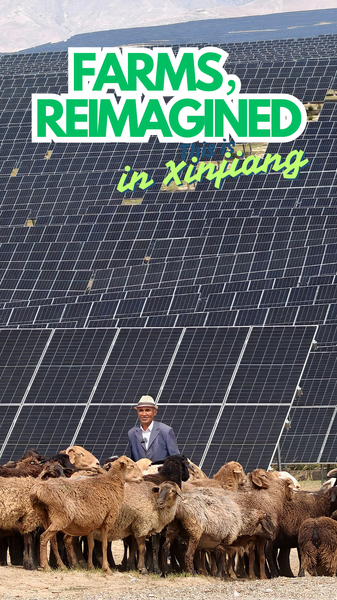 L’océan solaire des montagnes du Xinjiang pour alimenter les foyers de Singapour L'océan solaire des montagnes du Xinjiang pour alimenter les foyers de Singapour video poster