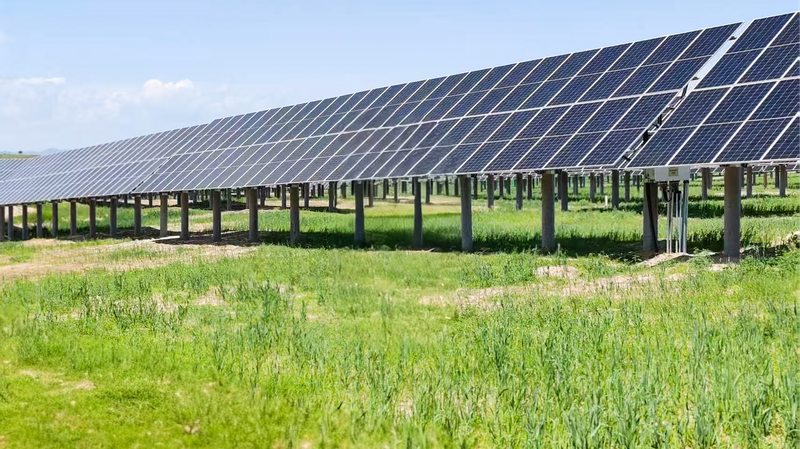 La Vallée de l’Énergie Verte de Mongolie-Intérieure : Transformer le Désert en Trésor La Vallée de l'Énergie Verte de Mongolie-Intérieure : Transformer le Désert en Trésor