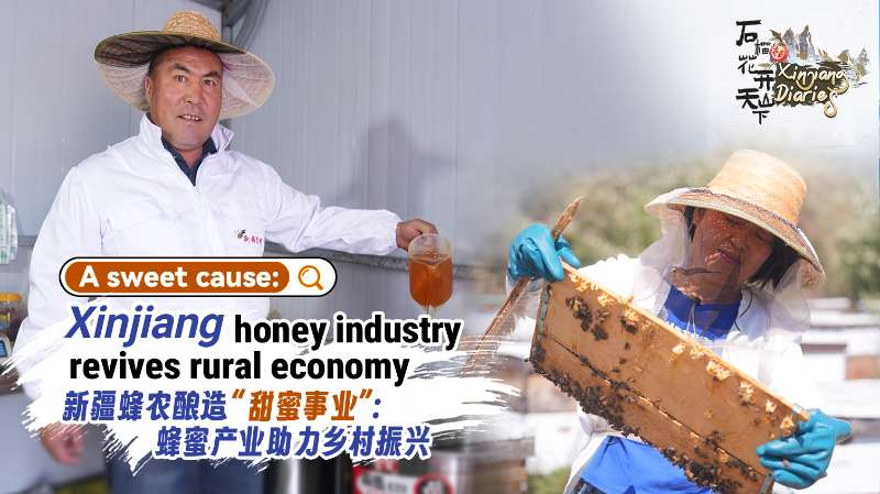 Les abeilles noires du Xinjiang dynamisent l'économie rurale dans le comté de Nilka video poster
