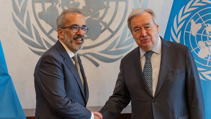 Le Royaume-Uni et le Portugal vont reconnaître l’État palestinien avant le débat à l’ONU Le Royaume-Uni et le Portugal vont reconnaître l'État palestinien avant le débat à l'ONU