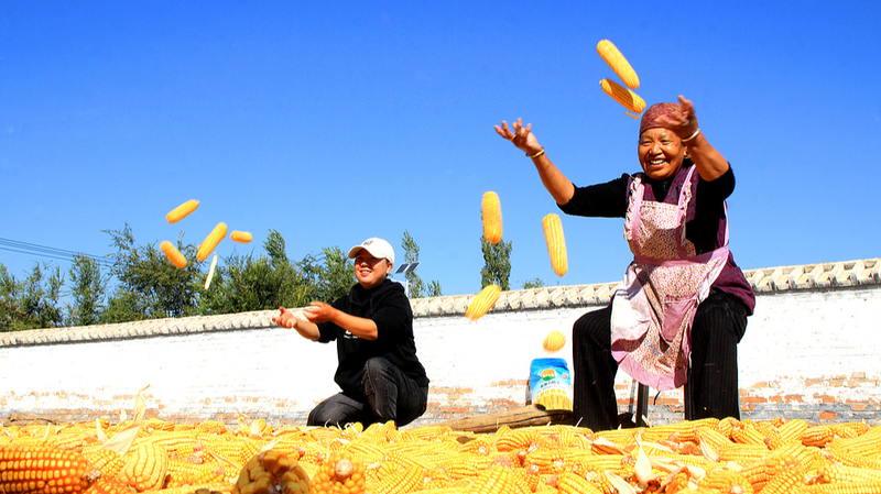 L’espérance de vie au Xinjiang atteint 77 ans : une réussite en santé L'espérance de vie au Xinjiang atteint 77 ans : une réussite en santé