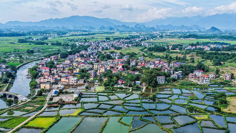 Le continent chinois dévoile le plus grand réseau de surveillance écologique au monde Le continent chinois dévoile le plus grand réseau de surveillance écologique au monde