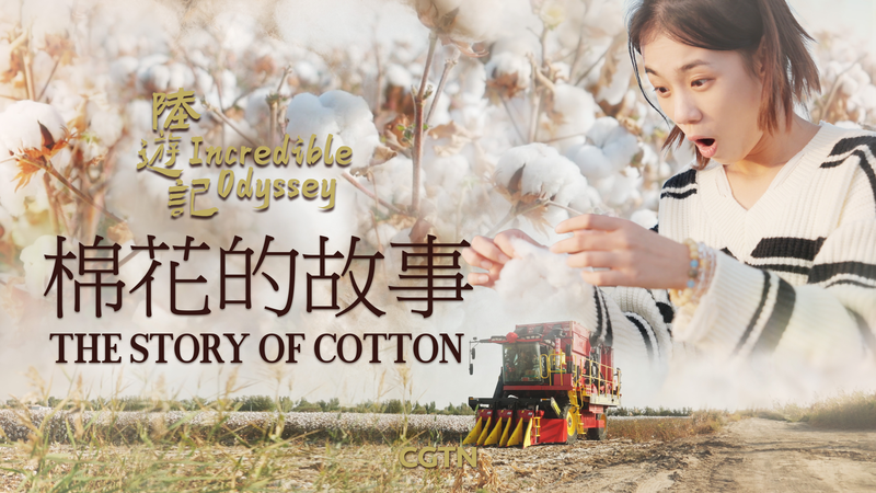 Odyssée Incroyable : La Vraie Histoire du Coton de Xinjiang Odyssée Incroyable : La Vraie Histoire du Coton de Xinjiang video poster