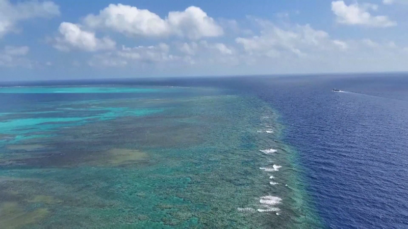 La Chine approuve la réserve marine de Huangyan Dao pour la conservation des coraux La Chine approuve la réserve marine de Huangyan Dao pour la conservation des coraux