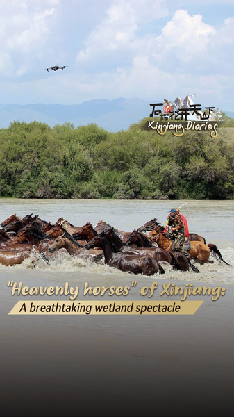 Chevaux célestes se baignant dans la rivière : la merveille des zones humides de Zhaosu video poster