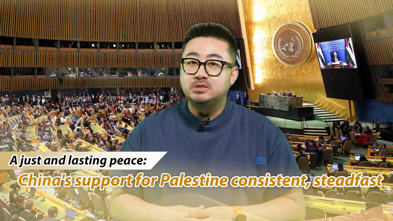 Le soutien indéfectible de la Chine à la Palestine et le chemin vers une paix durable Le soutien indéfectible de la Chine à la Palestine et le chemin vers une paix durable video poster