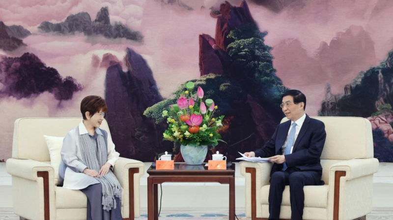 Wang Huning rencontre des représentants de la région de Taïwan à Pékin pour la commémoration du 80e jour de la victoire Wang Huning rencontre des représentants de la région de Taïwan à Pékin pour la commémoration du 80e jour de la victoire